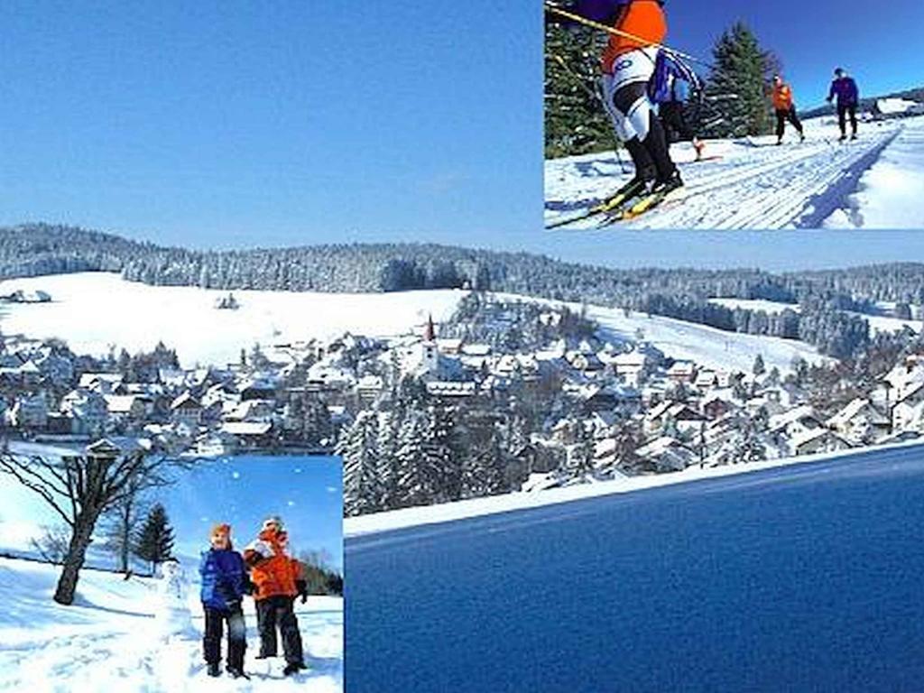 Appartmentvermietung Terrassenpark Schonach Schonach im Schwarzwald Zewnętrze zdjęcie